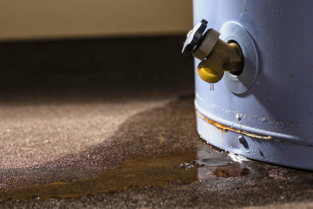 Best Mold removal after water damage  in Peridot, AZ