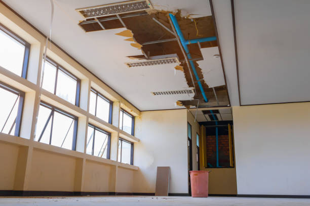 Best Local water damage restoration  in Peridot, AZ