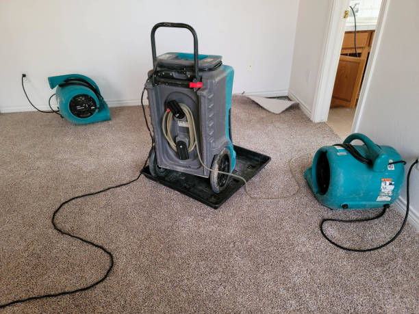 Best Water damage contractors near me  in Peridot, AZ