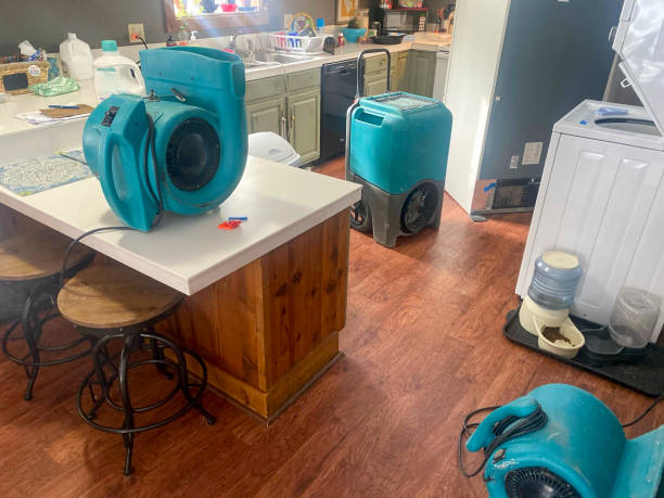 Water damage restoration insurance claims in Peridot, AZ