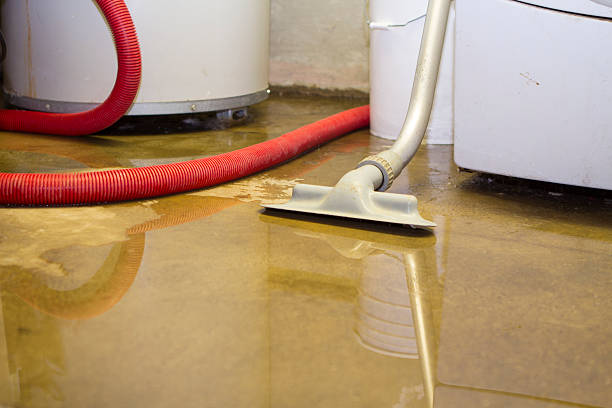 Best 24-hour water damage restoration  in Peridot, AZ