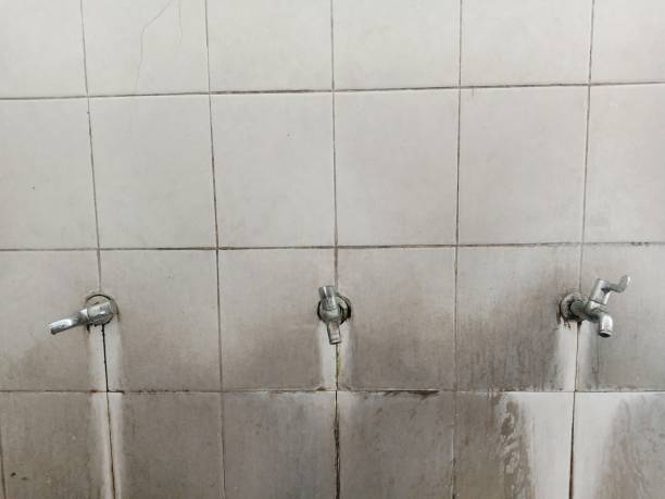 Best Water damage restoration insurance claims  in Peridot, AZ