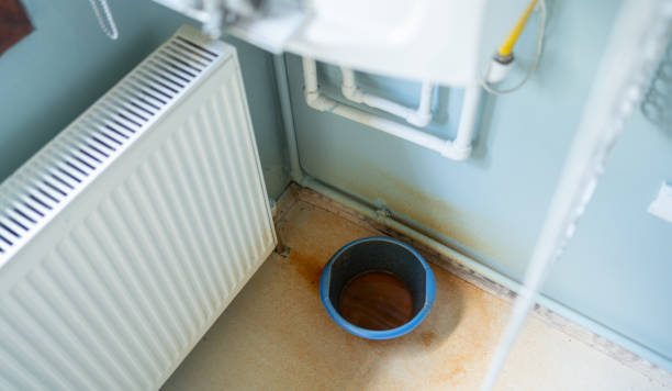 Best Water damage restoration near me  in Peridot, AZ