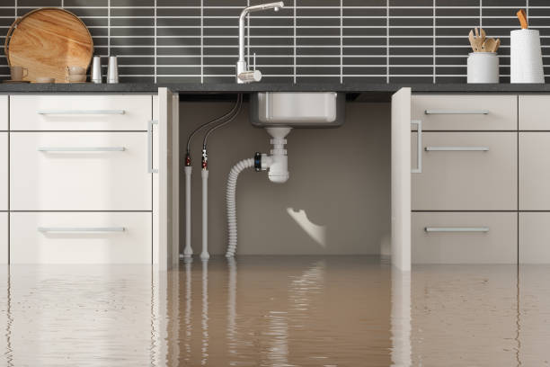 Best Professional water damage repair  in Peridot, AZ